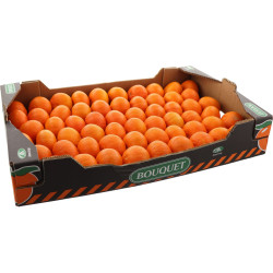 CLEMENTINE ORTANIQUE PLATEAU 8KG